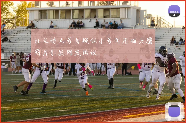 杜兰特大号与疑似小号同用猫头鹰图片引发网友热议