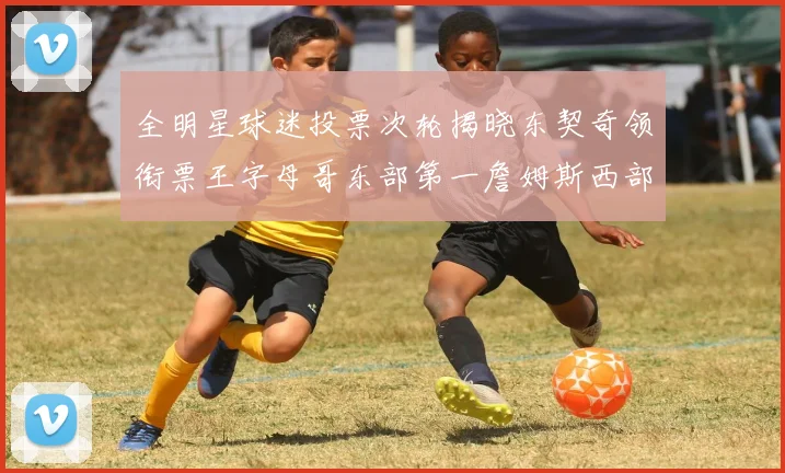 全明星球迷投票次轮揭晓东契奇领衔票王字母哥东部第一詹姆斯西部第八