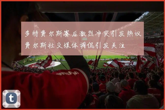 多特费尔斯赛后激烈冲突引发热议费尔斯社交媒体调侃引发关注