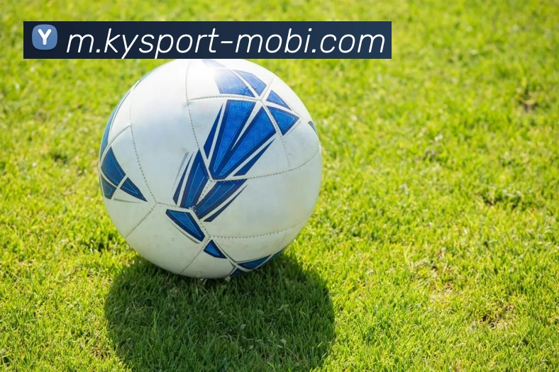 开云体育平台生态图