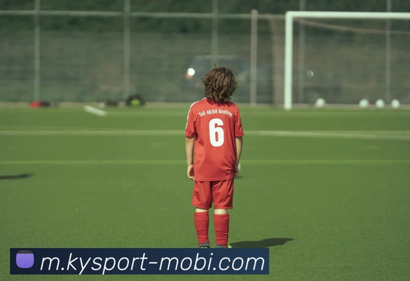 开云体育APP 封面图